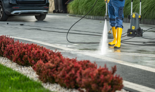 Best Commercial Building Pressure Washing  in Lisbon, ND